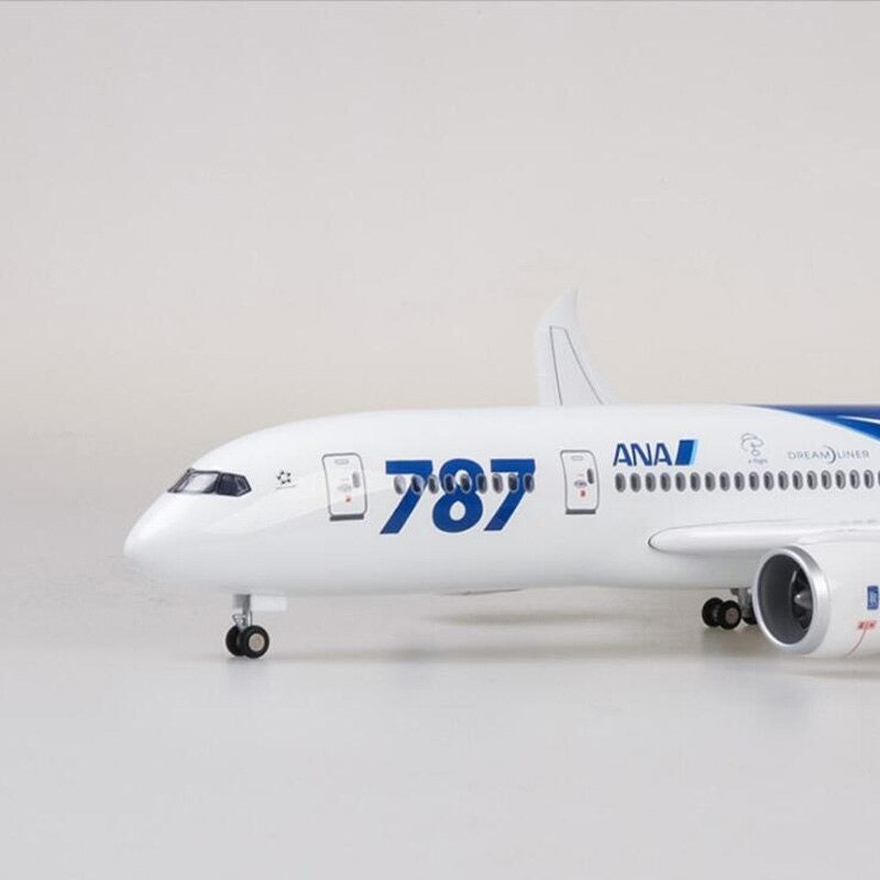 XL ANA Boeing 787