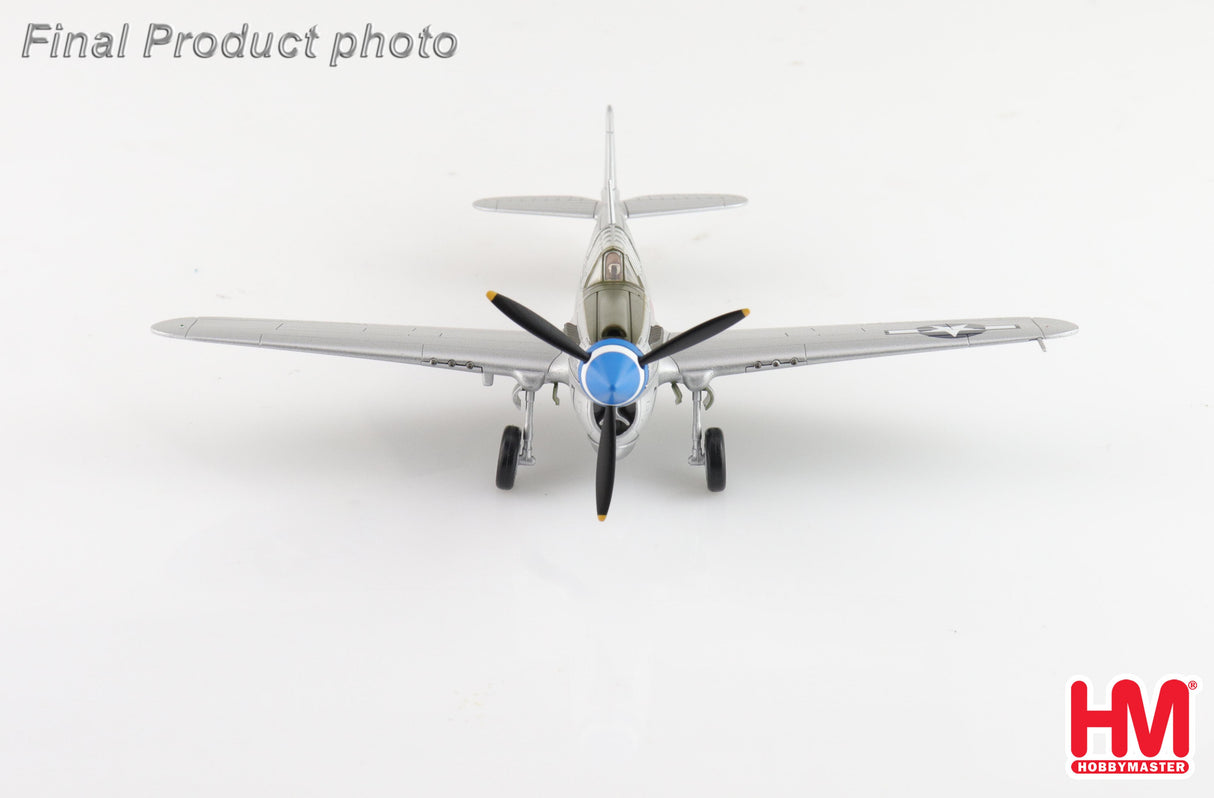 Curtiss P-40N Warhawk