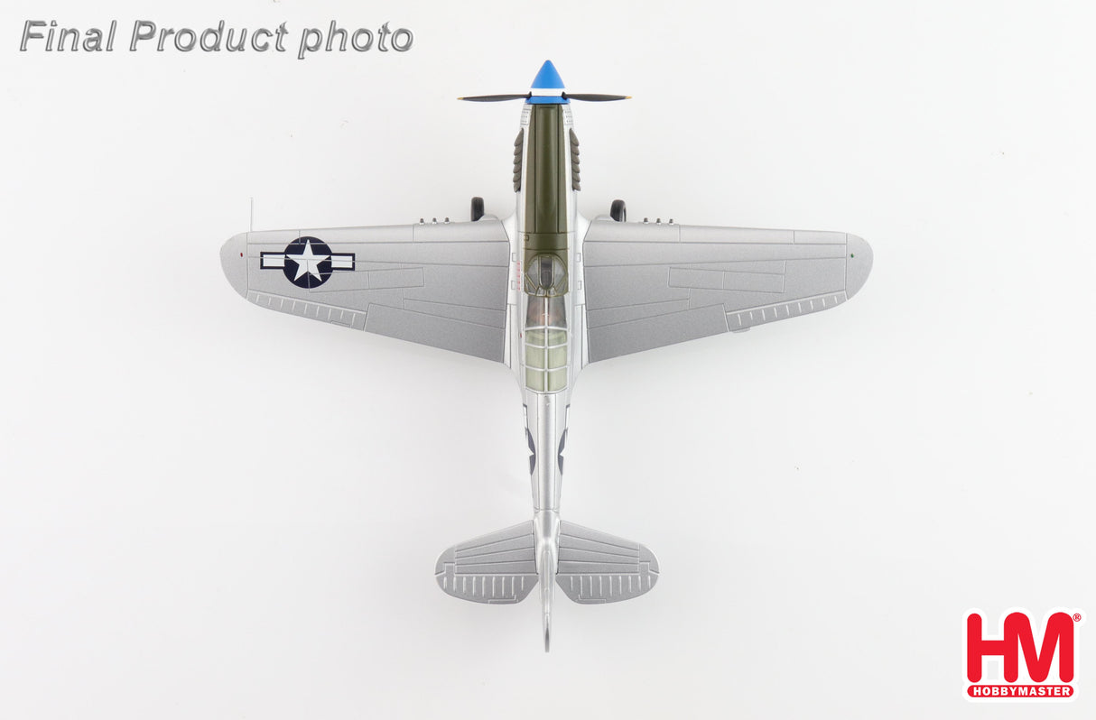 Curtiss P-40N Warhawk