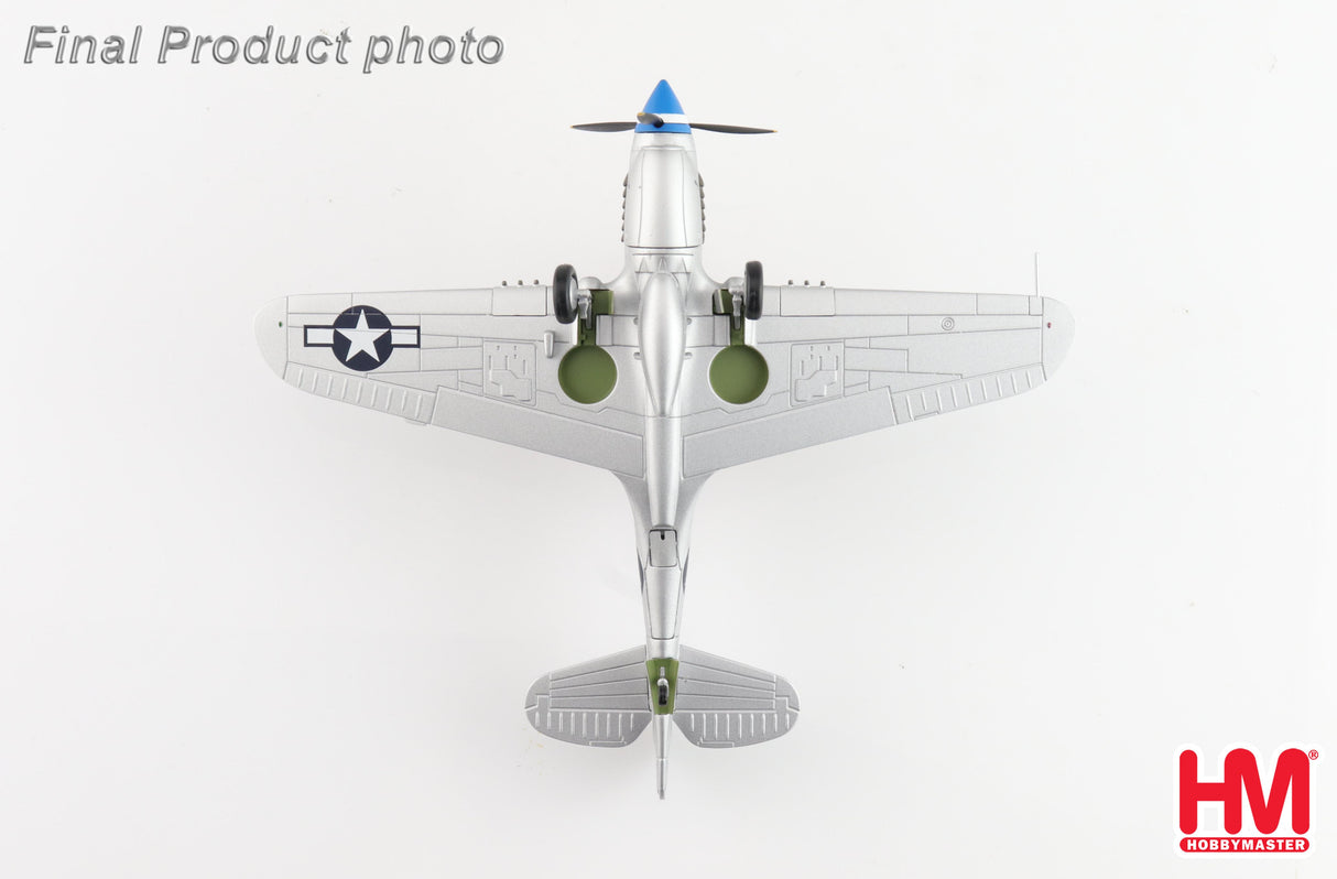 Curtiss P-40N Warhawk