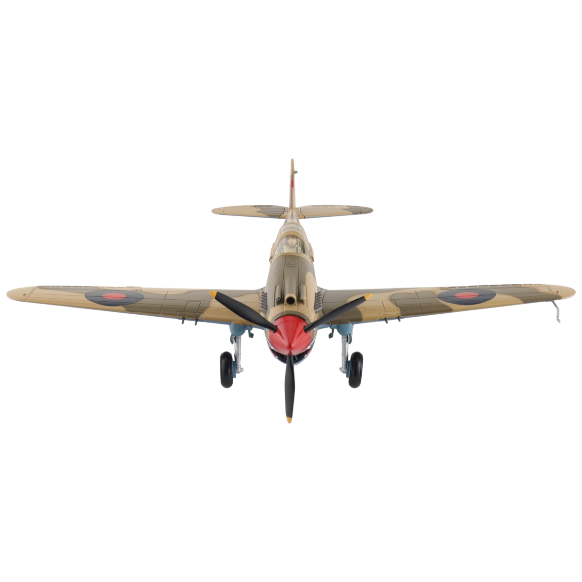 Curtiss Tomahawk Mk. IIB Model Aircraft - Photo 6
