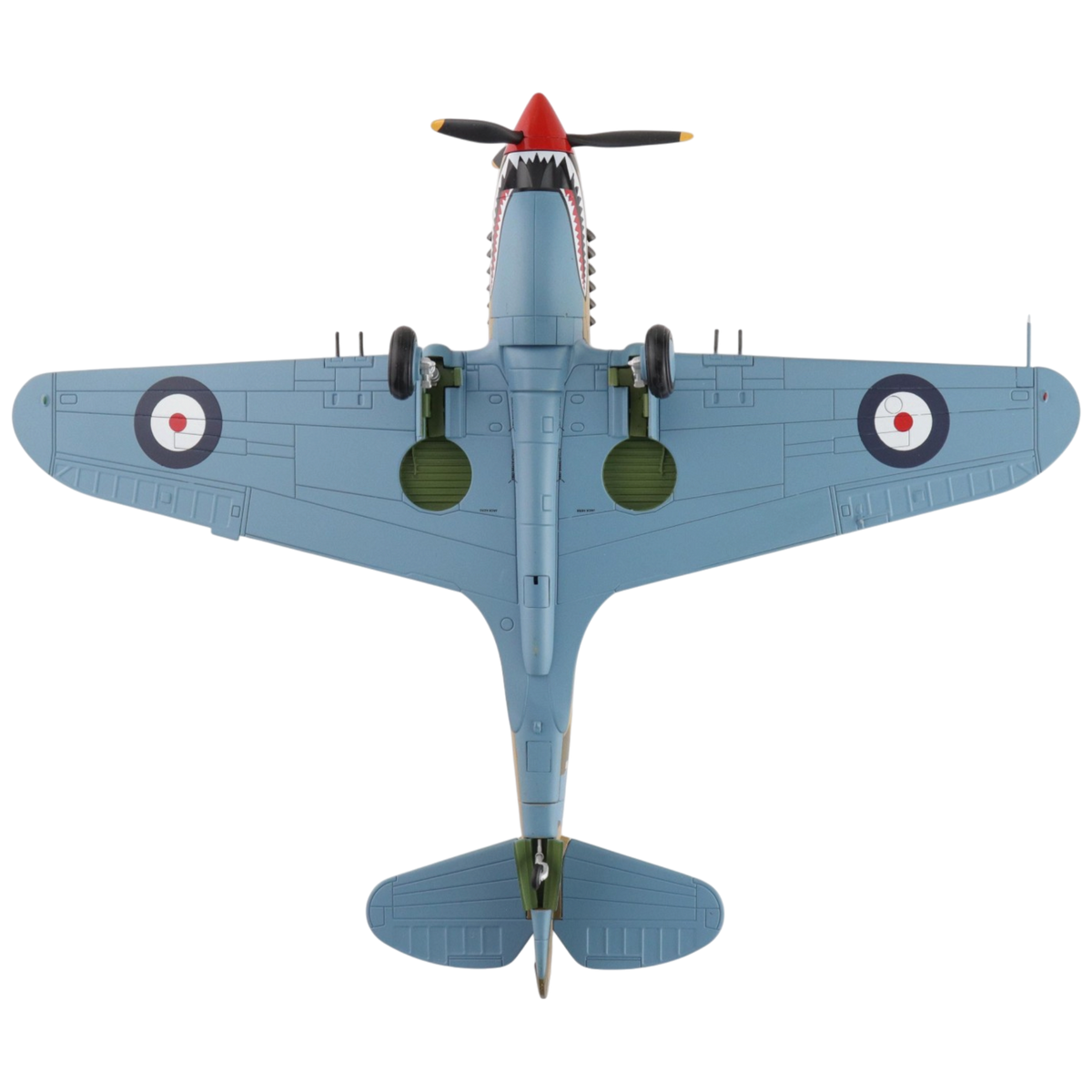 Curtiss Tomahawk Mk. IIB Model Aircraft - Photo 5