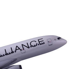 XL Star Alliance Boeing 787