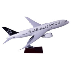 XL Star Alliance Boeing 787