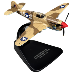 Curtiss P-40E Warhawk Model Aircraft - Photo 1