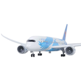 XL China Southern Boeing 787