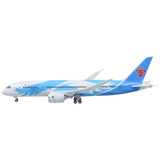 XL China Southern Boeing 787