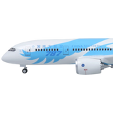 XL China Southern Boeing 787