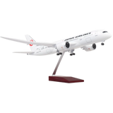 XL Japan Airlines Boeing 787 Model Aircraft - Photo 1