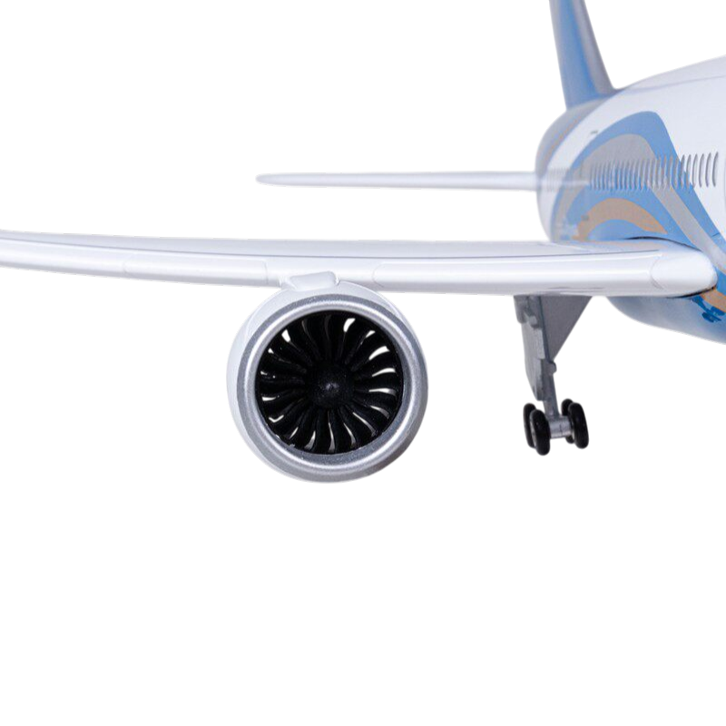 XL Oman Air Boeing 787