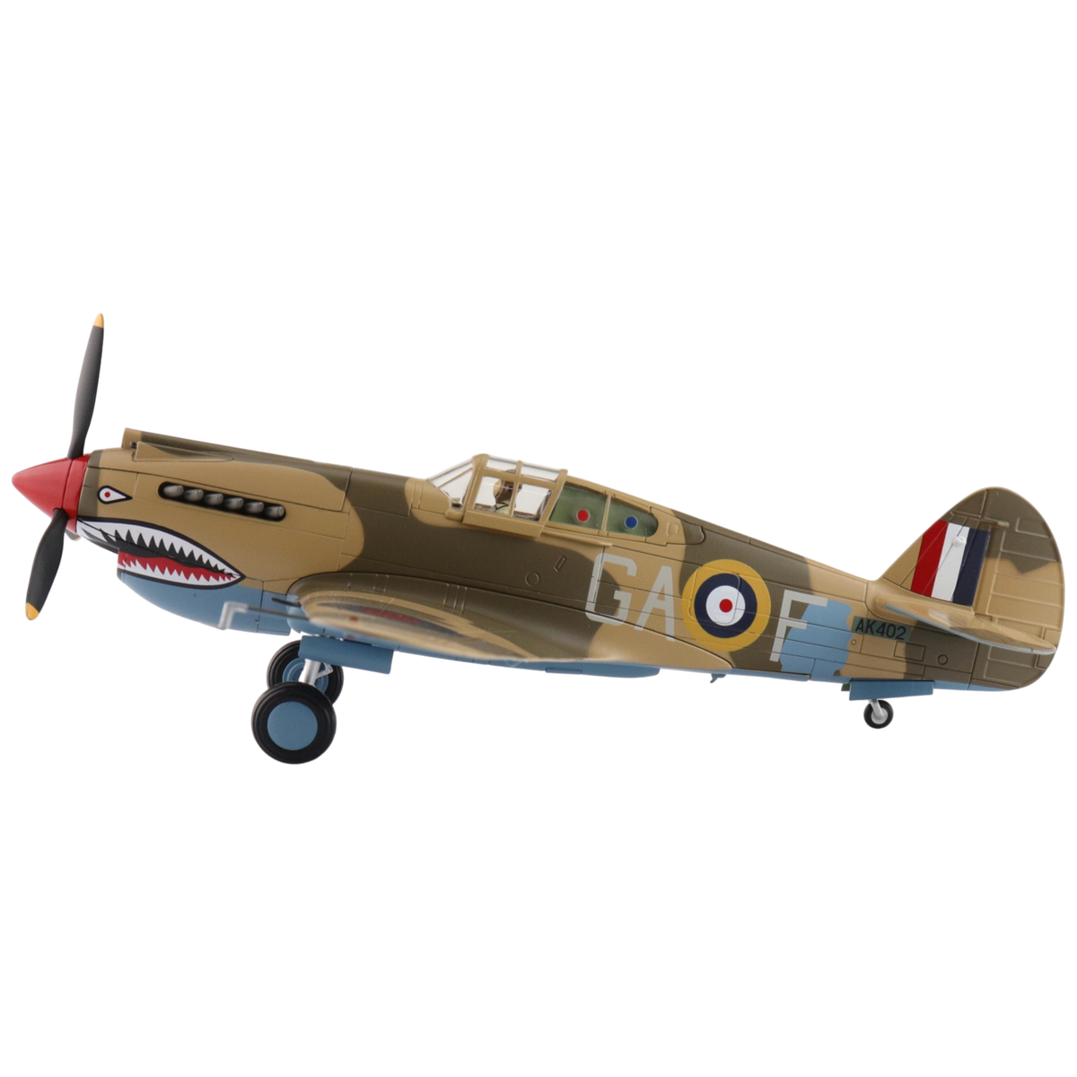 Curtiss Tomahawk Mk. IIB Model Aircraft - Photo 2