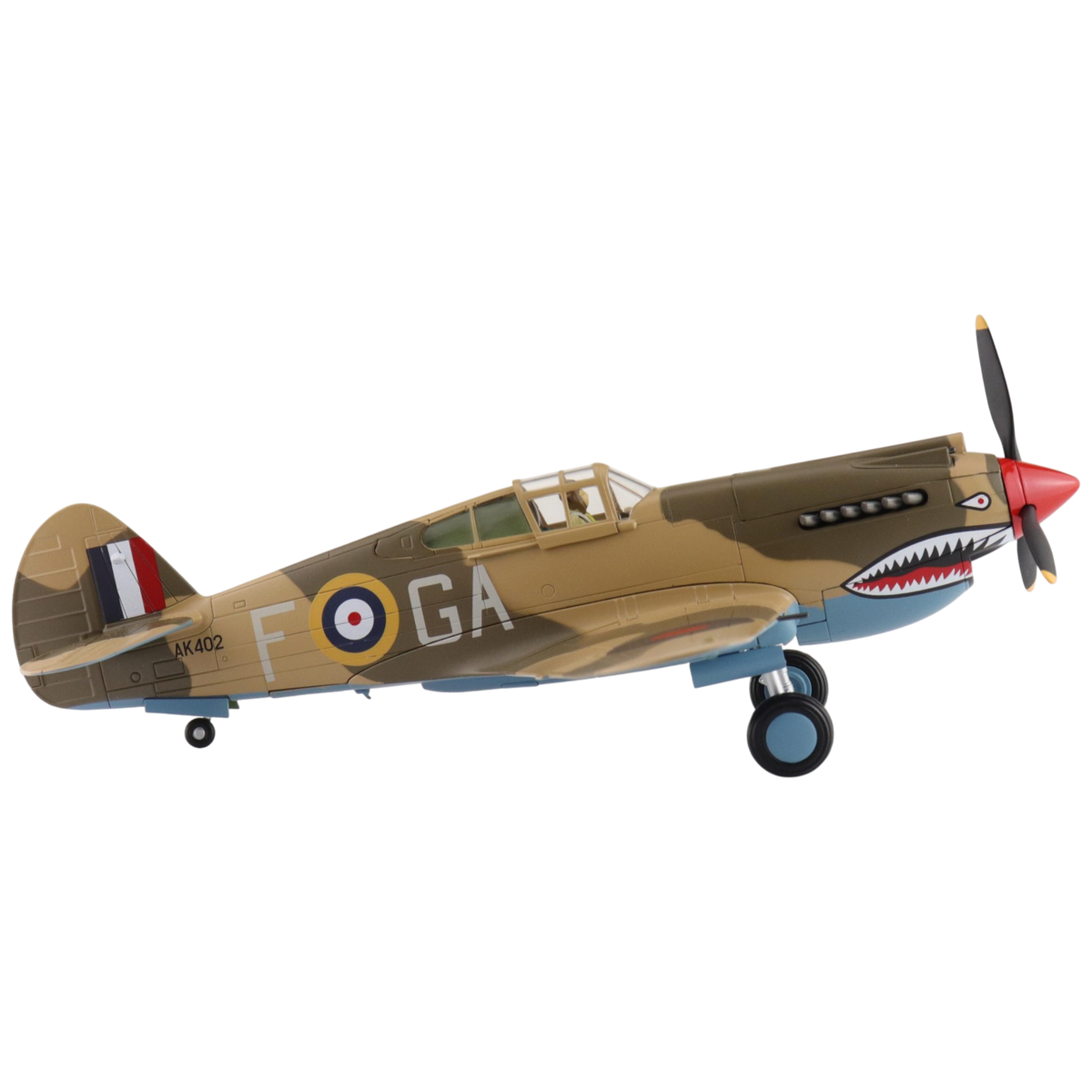 Curtiss Tomahawk Mk. IIB Model Aircraft - Photo 3