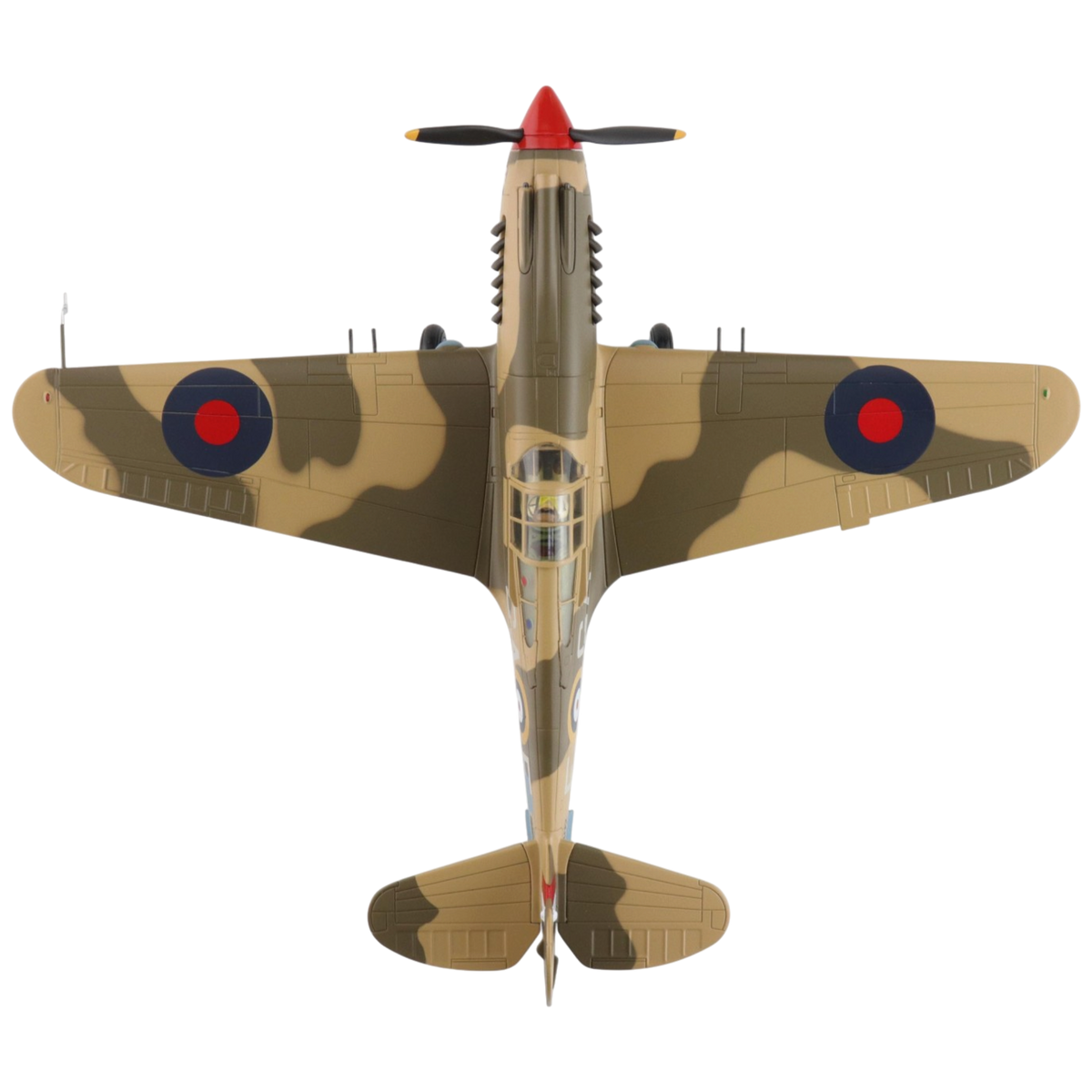 Curtiss Tomahawk Mk. IIB Model Aircraft - Photo 4