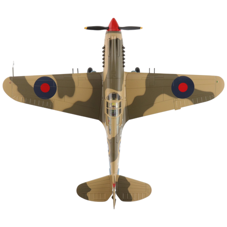 Curtiss Tomahawk Mk. IIB Model Aircraft - Photo 4