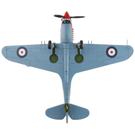 Curtiss Tomahawk Mk. IIB Model Aircraft - Photo 5