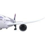XL Hawaiian Airlines Boeing 787