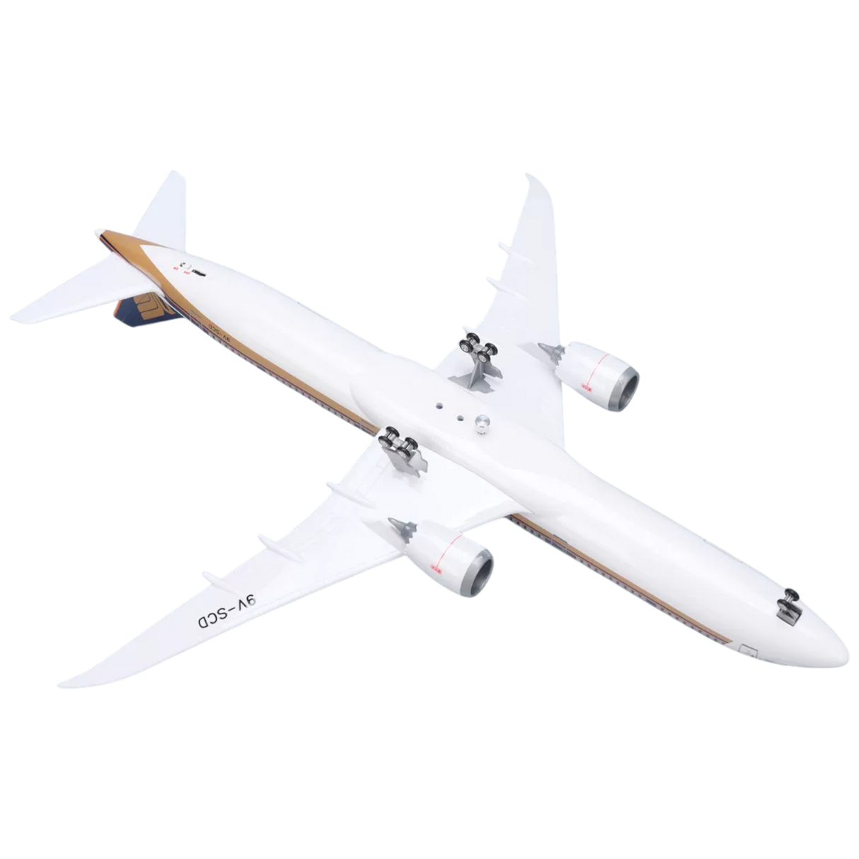 XL Singapore Airlines Boeing 787
